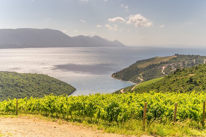 Transfer Dubrovnik to Split with Sightseeing in Ston Town - The driver can shape the quality of the day