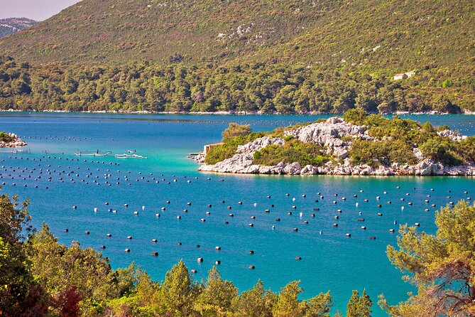 Transfer Dubrovnik to Split with Sightseeing in Ston Town - Ston town gives the road trip a real sense of place