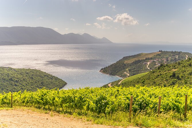 Transfer Split to Dubrovnik with Sightseeing in Ston Town - Walking the Ston walls