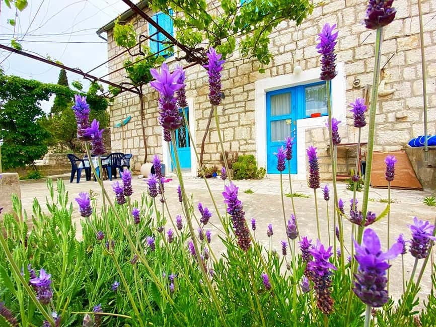 Trogir: Blue Lagoon, Maslinica, and Solinska Bay Boat Tour - What the $68 price really covers