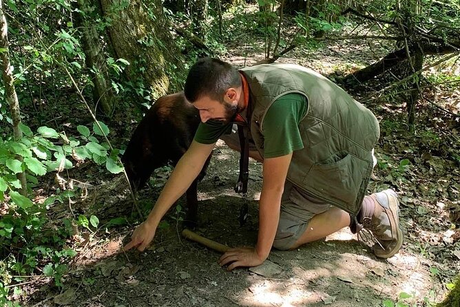 Truffle hunting adventure - Key points to know before booking