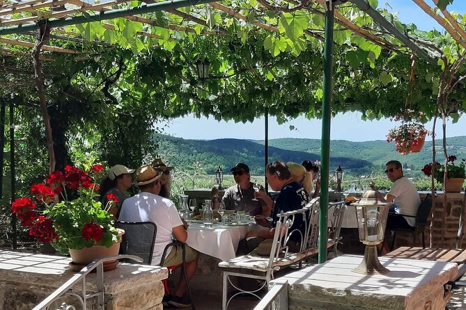 Truffle hunting adventure - The tasting, wine, and optional family lunch