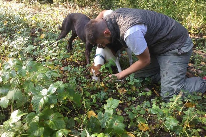 Truffle hunting adventure - Meeting in Motovun and getting ready