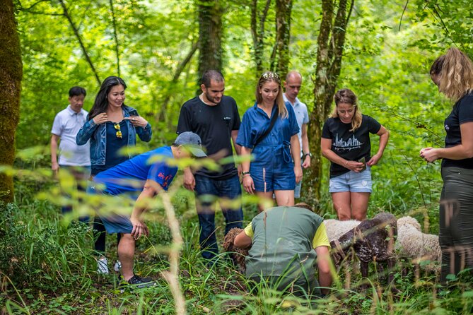 Truffle hunting & cooking tour - What the $130.66 price really buys