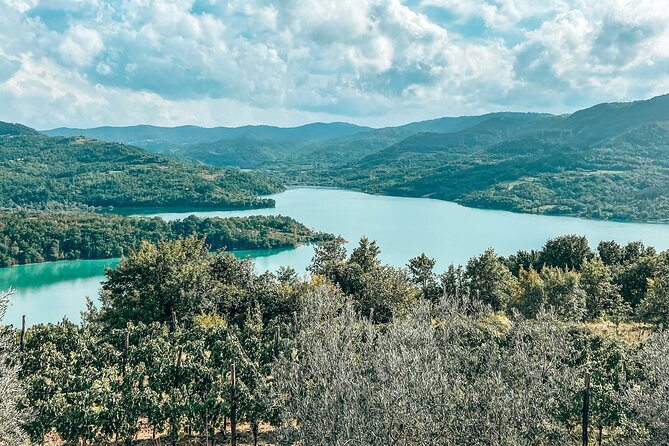 Truffle hunting & cooking tour - Seasonal conditions and the chance of a quiet hunt