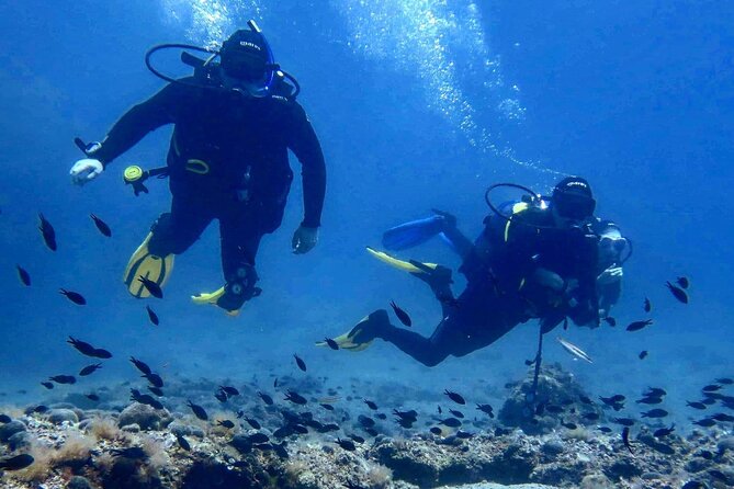 Try Scuba Diving in Split - Quick points to know