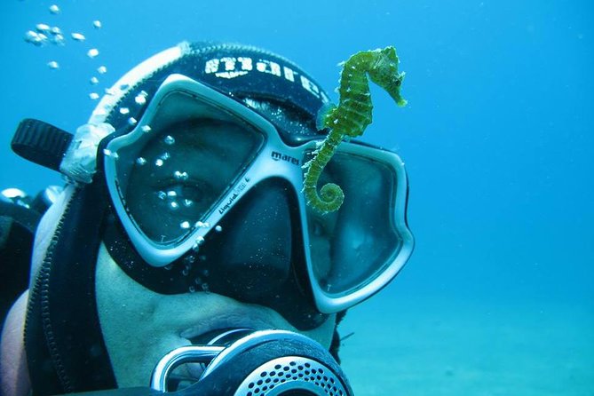 Try Scuba Diving in Split - What this Split experience really offers