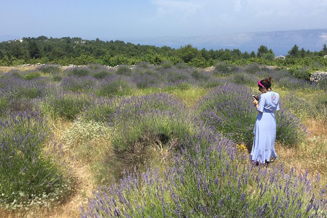 Tuk Tuk Sightseeing Tour of Hvar - Velo Grablje: Hvar’s lavender village