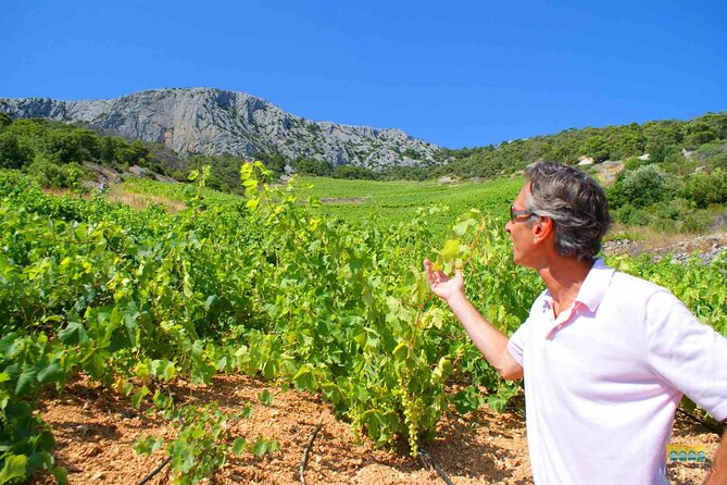 Twice the Wine - Two wineries half day tour, with delicacies - Why this tour gets you beyond Hvar Town