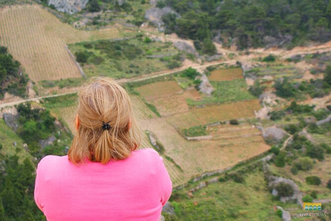 Twice the Wine - Two wineries half day tour, with delicacies - What you will taste and eat