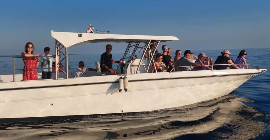 Umag: Dolphinwatching & sunset panorama tour - Key points to know before you go
