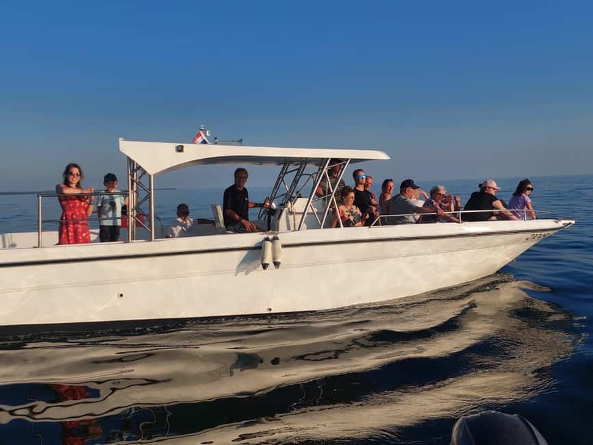 Umag: Dolphinwatching & sunset panorama tour - Searching for dolphins in protected waters