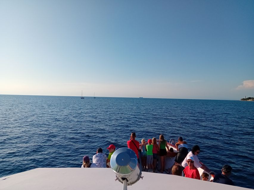 Umag: Sunset Cruise with Dolphin Spotting - Watching Adriatic dolphins in the open sea