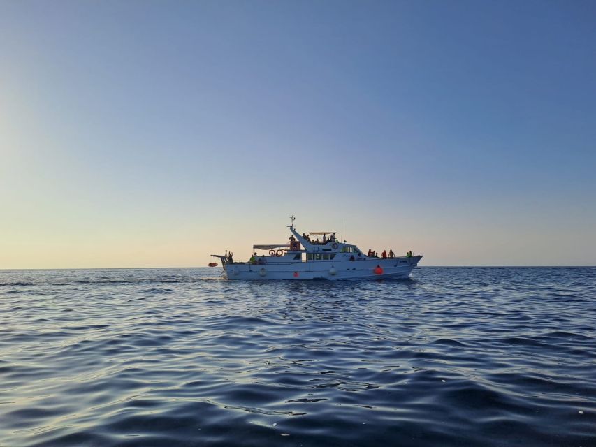 Umag: Sunset Cruise with Dolphin Spotting - The first hour is about finding dolphins