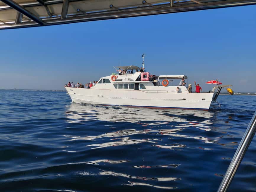 UMAG: Swimming&Panorama / Welcome Drink and Dolphin spotting - Key points before you book