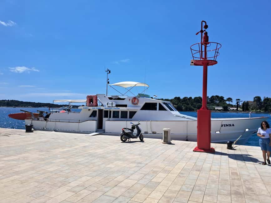 UMAG: Swimming&Panorama / Welcome Drink and Dolphin spotting - Drinks, from rakija to juice