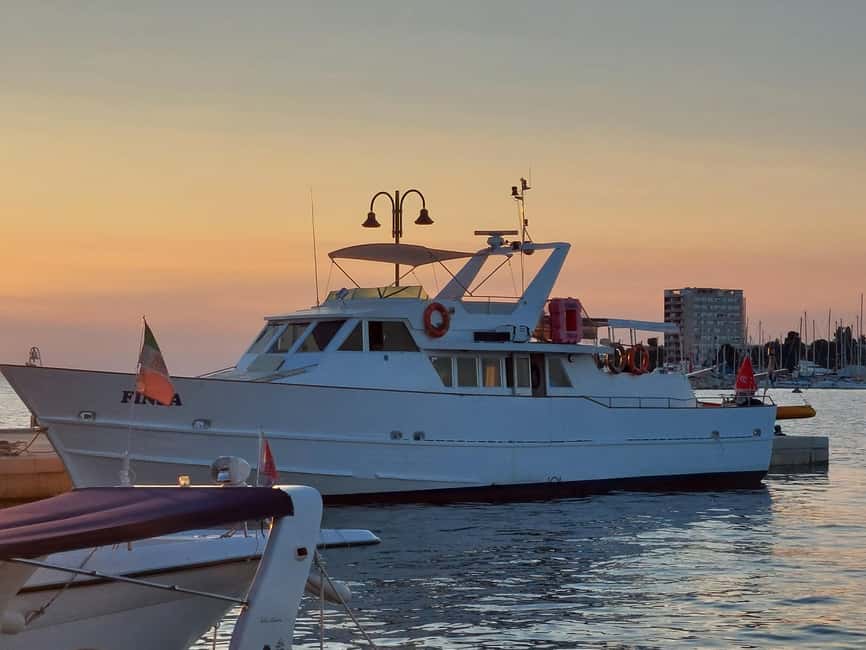 UMAG: Swimming&Panorama / Welcome Drink and Dolphin spotting - Searching for dolphins on the return