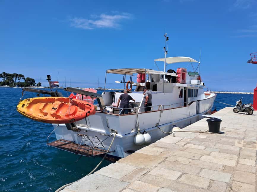 UMAG: Swimming&Panorama / Welcome Drink and Dolphin spotting - How the $41 price holds up