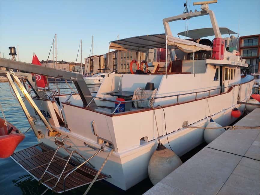 UMAG: Swimming&Panorama / Welcome Drink and Dolphin spotting - Who will enjoy this Umag boat trip?