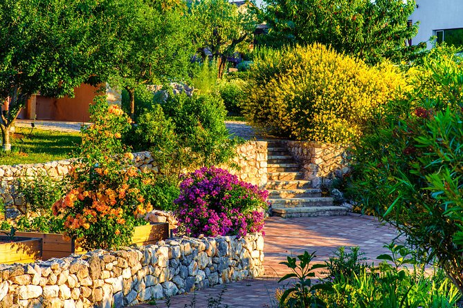Visit Klis fortress GOT & Olive museum Klis - Who should book this experience