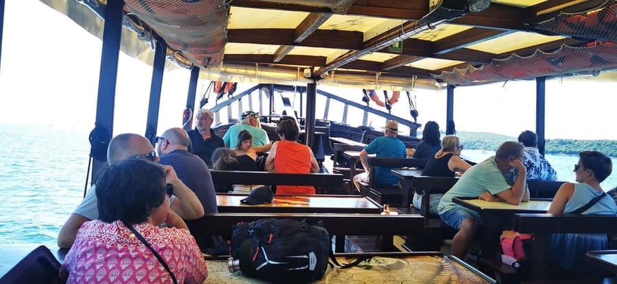 Vrsar: Dolphin Watching Boat Ride - Should You Book the Vrsar Dolphin Boat Ride?