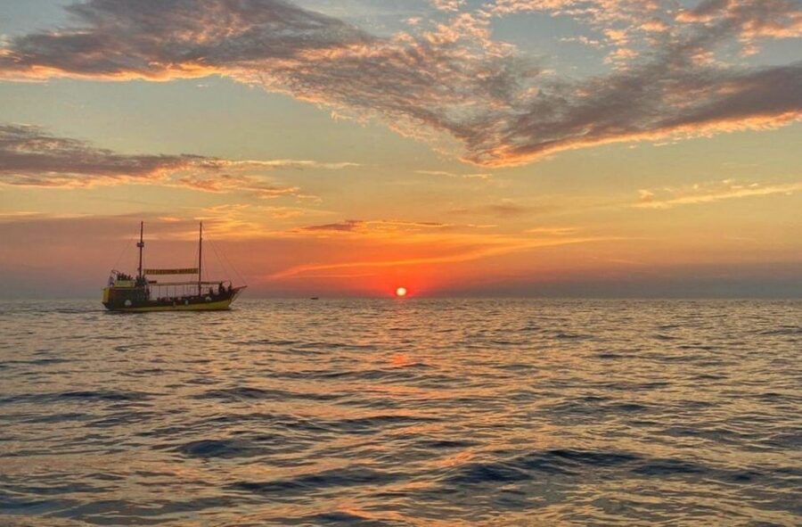 Vrsar: Dolphin Watching Boat Tour including Drinks - Searching the dolphin grounds off Istria
