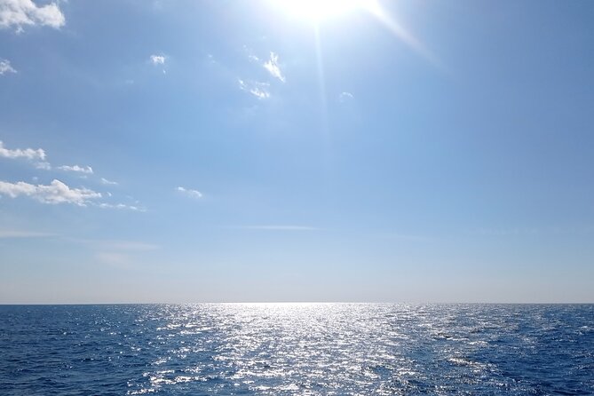 Vrsar, Lim Fjord and Rovinj Day Tour by Boat with Drinks - Drinks change the value of the trip