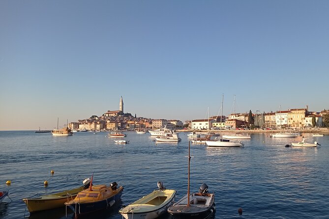 Vrsar, Lim Fjord and Rovinj Day Tour by Boat with Drinks - Dolphins are a bonus, not a booking reason