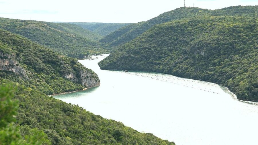 Vrsar: Lim Fjord Boat Tour with Swimming near Pirate's Cave - Booking flexibility and meeting details