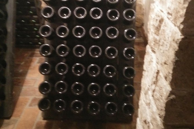 Wine & more Tour , private guided wine tour from POREC, UMAG ,Istria - What the guide adds to the day
