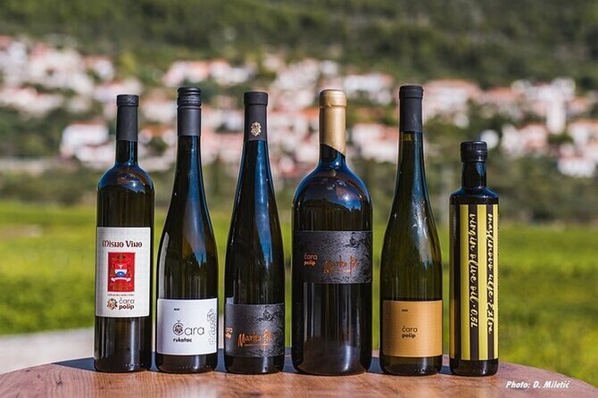 Wine & Sightseeing Tour Korcula - The scenic ride to Pupnatska Luka