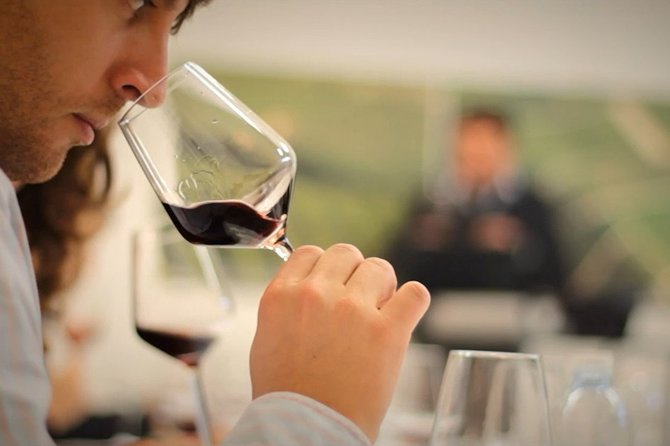 Wine Tasting Experience at the organic winery in Šišan - Arriving at the southernmost wine station in Istria