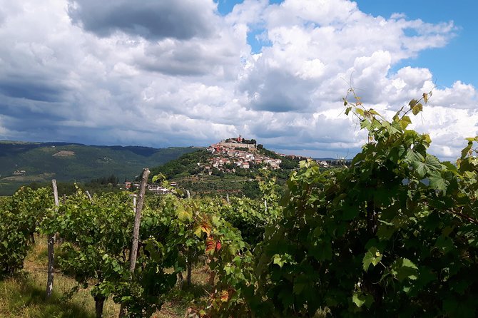 Wine Tour - The Best of Istria - Meeting Agi and settling into the small group