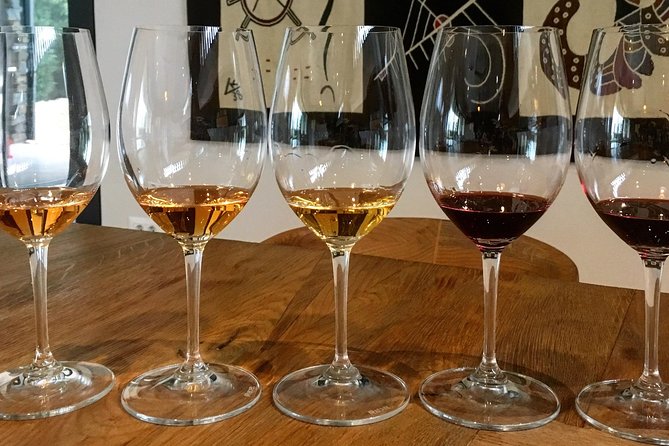 Wine Tour - The Best of Istria - A day built around contrast, not repetition