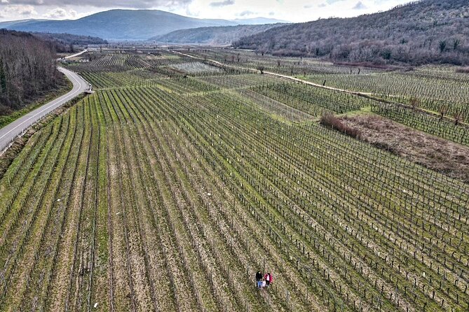 Winery Tour and Tasting with the Sommelier in KRK - Key points at a glance