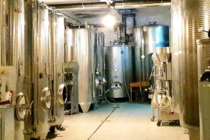 Winery Tour and Tasting with the Sommelier in KRK - Local snacks make the tasting feel complete