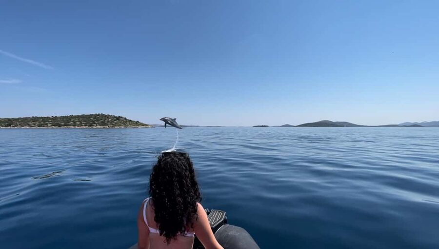 Zadar: 3-Island Speedboat Tour with Snorkeling and Drinks - Quick points to know before booking