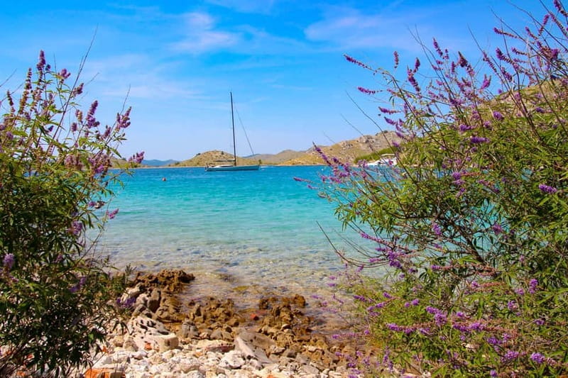 Zadar: 3-Stop Blue Lagoon & Snorkeling Cruise with Drinks - What the $35 price really covers