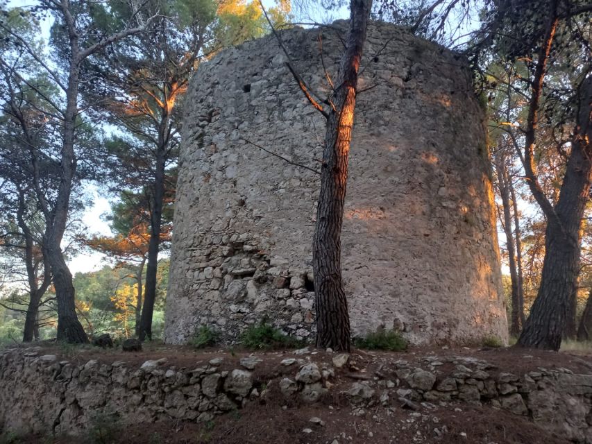 Zadar: Boat tour Half day -Private - Should you book it?