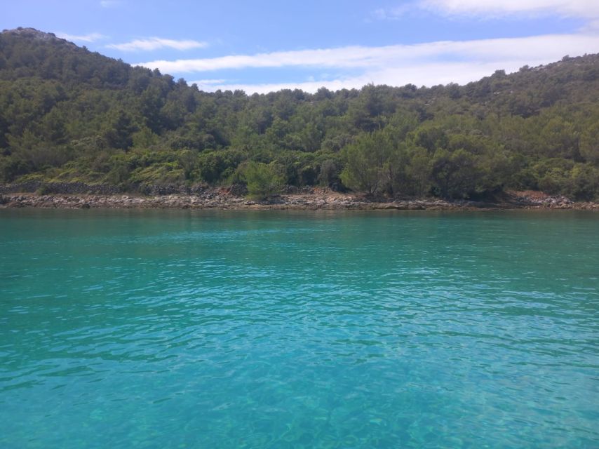 Zadar: Boat tour Half day -Private - Swimming in Frnaža or Otrić Bay
