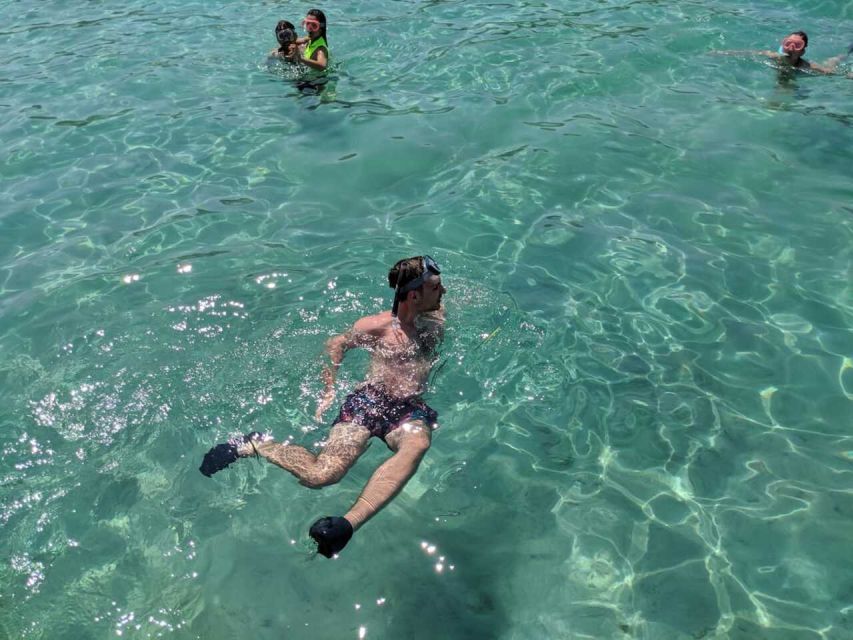 Zadar: Boat Tour to the Nearby Islands - How the Tour Compares With a Big Island Cruise