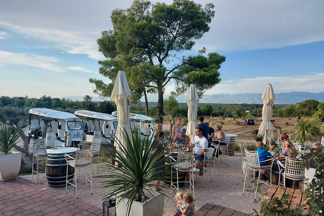 Zadar: City and Wine Tour in Zadar with Eco Tuk Tuk - The Sea Organ: let the Adriatic make the music