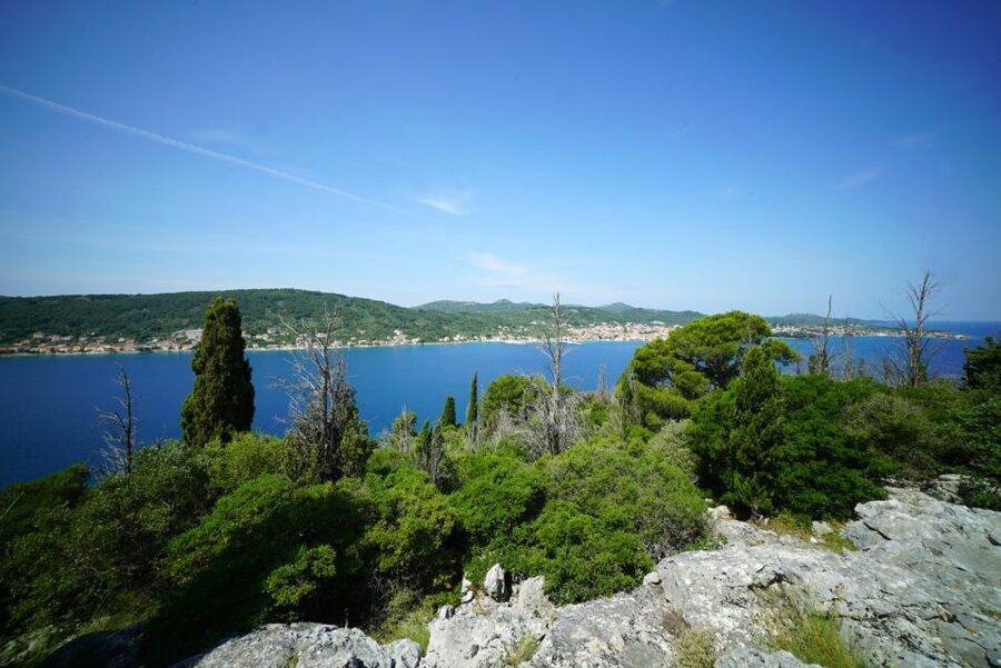 Zadar: Guided Tour to Ugljan, Osljak, & Galevac by Speedboat - The guides make the difference