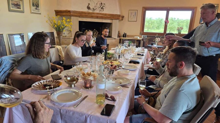 Zadar: Hinterland Hidden Treasures, Nature, History, Tasting - Local wines and lunch under the olive trees