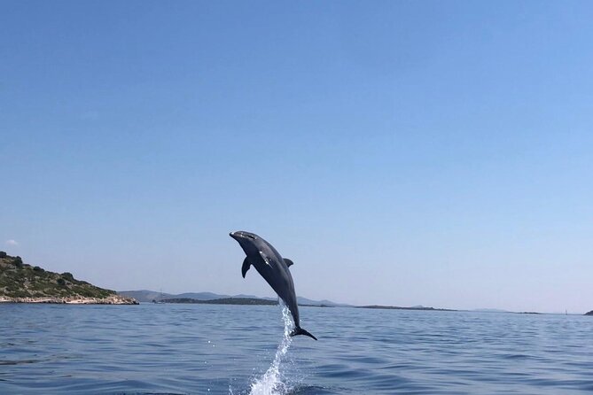 Zadar: Island Luxury Speedboat Tour with Snorkeling - Who should book this island tour?