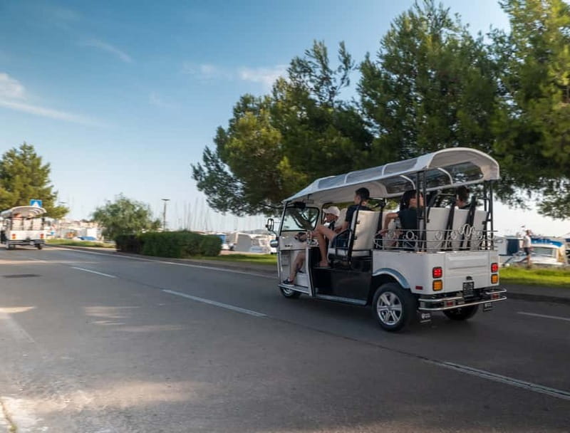 Zadar: Panorama Eco Tuk Tuk Tour - Listening to the Sea Organ