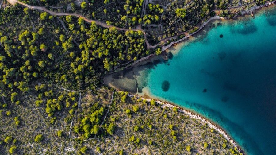 Zadar: Private Half Day Speedboat Tour - Key points to know before booking
