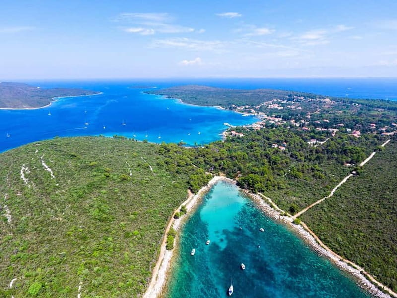 Zadar: Saharun Beach and Dugi Island Boat Tour with Lunch - Pine trees touching the sea