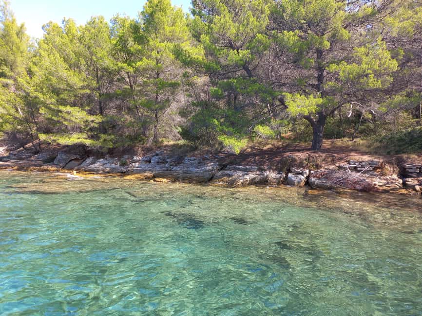 Zadar: Sea, Sun, and Wind Half-Day Sailing Adventure - The Zadar coastline, seen at a better speed