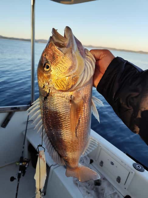 Zadar: Sunset Fishing Half-Day Guided Boat Trip - Practical details worth knowing